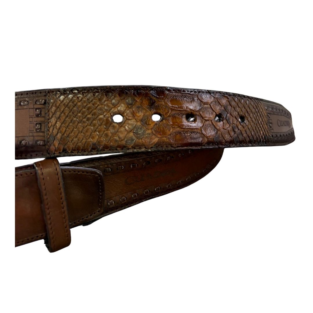 Cinto CUADRA Pitón Café